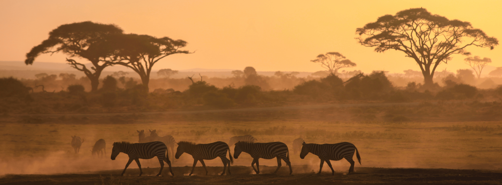 Africa Tour Packages from Nepal